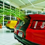 Mustang GT 500 Shelby Heckansicht