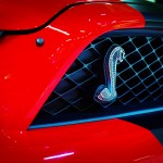 Shelby Snake Detailansicht