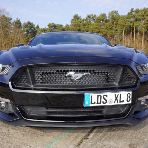 2015er Ford Mustang 5L GT Cabrio mieten
