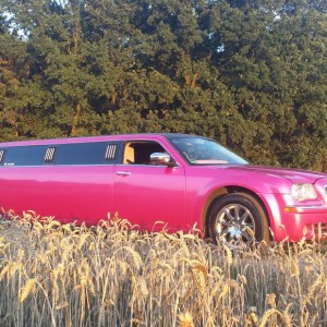 Venus Messe 2015 Shuttle S Klasse Maybach Stretchlimousine